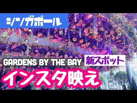 ‪【おすすめインスタ映えスポット】Floral Fantasyを正直レビュー【ガーデンズバイザベイ 】‬