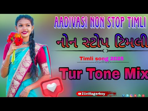 new aadivasi song || new timli song tur tone || 2025 aadivasi non stop timli || new Timli.