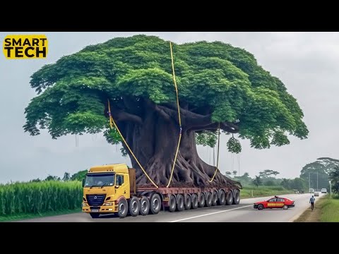 99 Unbelievable Heavy Equipment Machines That Are At Another Level ▶ 32