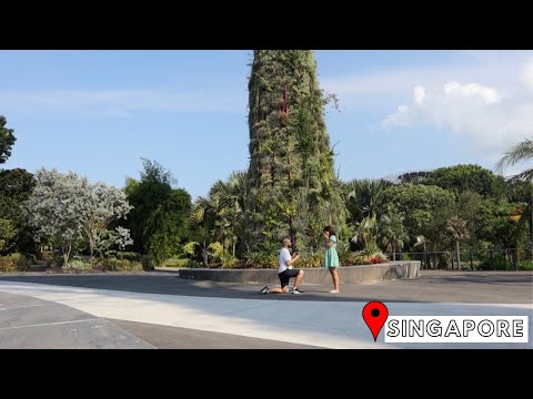 We got engaged in Singapore! Gardens by the Bay