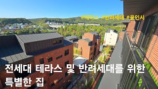 [용인시 신축빌라] 전세대 테라스 및 반려세대를 위한 특별한 집. 수지구 성복동 신축빌라(더빌리지47)