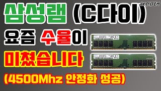 삼성 C다이램 오버클럭 해봤습니다(4500Mhz 달성) l 인텔,라이젠 동시 테스트(feat.예의바른 거위몬)[비케이][BKSYSTEM][4K]