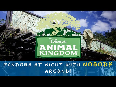 Animal Kingdom - Pandora AT NIGHT with nobody around!