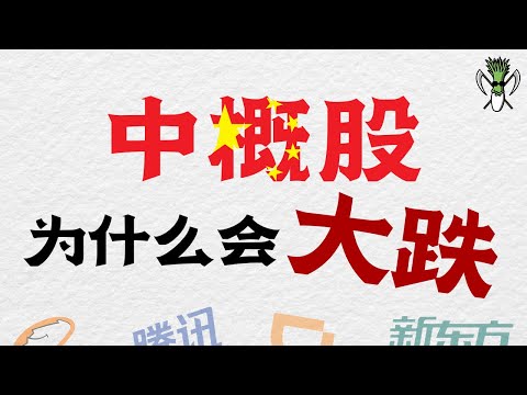 中概股 大跌！为什么会这样？是抄底的好时机吗？SPX IXIC DJI BABA DIDI 腾讯 | CHIVEST直播精华 | 4.8.2021