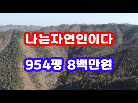 경북땅 시골 땅 나는자연인이다 매매 8백만원 오지생활 시골생활 산 속 골 오 지 땅 자연인 토지 매매 산 속 땅 싼 땅 산촌생활 산 골 땅 산 촌 안동부동산