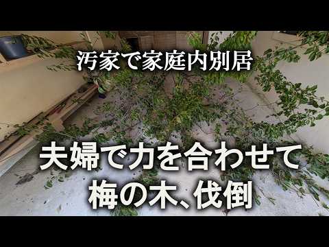 【片付け】珍しく夫婦共同作業、チェンソートラブルを乗り越えて｜汚部屋｜ズボラ主婦｜空き家｜伐採｜剪定｜汚家