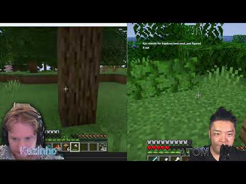 First Minecraft Stream!