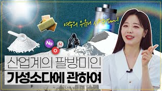 산업계의 떠오르는 초신성? 전 세계가 '가성소다'에 집착하는 이유❗ / 한화를 알면 둘을 안다_#전기차