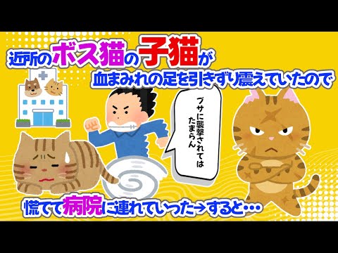 【2chほっこり】ボス猫の子猫が血まみれの足を引きずり震えていたので慌てて病院に連れていった→すると･･･