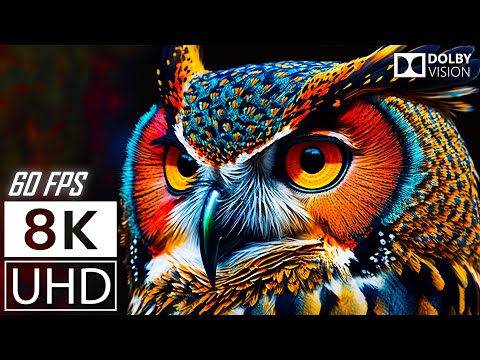 8K UHD 60FPS DOLBY VISION - COLORFUL WORLD - ANIMALS SOUNDS