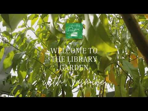 Let's visit the Playford Library Garden with Jasmine