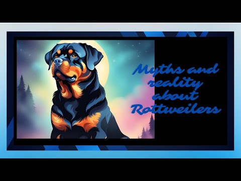 🎥 Myths & Reality About Rottweilers: The Truth Unleashed! 🐾