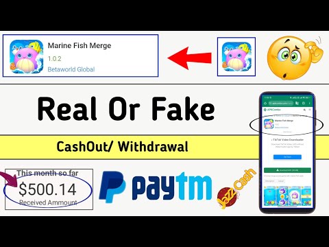 Marine Fish Merge Real Or Fake? - Marine Fish Merge - Marine Fish Game Review