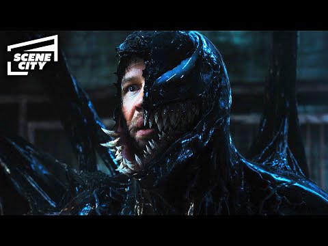 Dogs in Danger? Not on Eddie's Watch | Venom: The Last Dance (Tom Hardy)