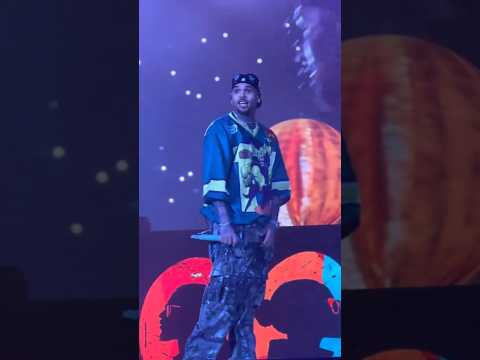 When the audience sings along with Chris Brown❤️‍🔥 #chrisbrown #rnb #pop #popmusic