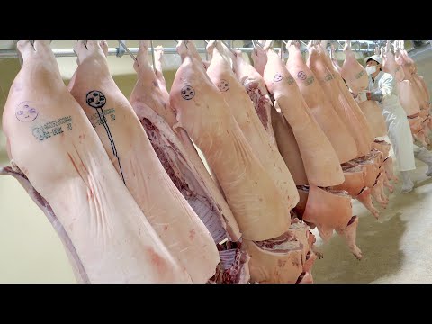 The process of deboning craftsmen dismantling whole pigs. Amazing Korean meat processing factory