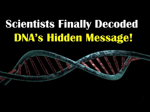 Scientists Finally Decoded The Hidden Messages in Your DNA!