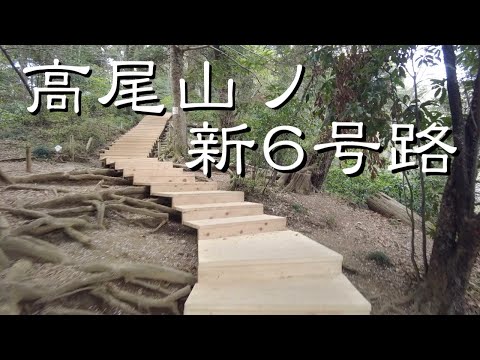 【高尾山】リニューアル！高尾山の「新6号路」（関東百名山）