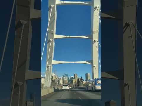 Edmonton downtown  view #indianincanada  #canada  #subscribe