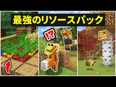 【マイクラ1.19】最強のリソースパック・テクスチャまとめ！2