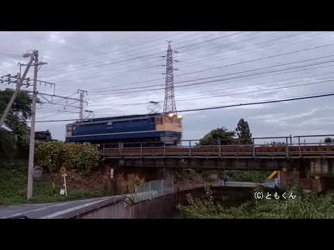 9863レ　EF65-2089 + シキ801  2023/08/18