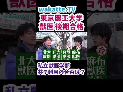 【大学受験合否バカラ】共テ利用 私立獣医学部の合否は？【wakatte.TV切り抜き】#wakattetv #東京農工大学 #獣医学部 #日本大学 #日本獣医生命科学大学 #麻布大学 #北海道大学