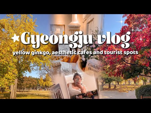 🇰🇷 [中字 ENG] 慶州 Gyeongju vlog 🍂 yellow ginkgo, cuddly house, cheomseongdae, anapji, woljeonggyo #브이로그