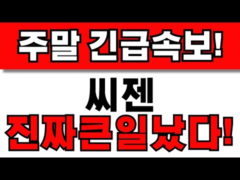 [씨젠 주가전망] 주주님들 필수시청! 앞으로 이렇게 대응하세요