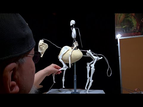 How to Use the One Quarter Scale TruForm Horse and Human Armatures From Sculpture Depot