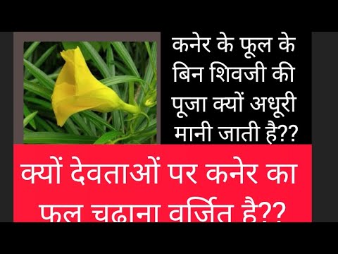 कनेर का फूल शिवजी पर क्यों चढ़ाया जाता है ?? #पंडितप्रदीपजी मिश्रा सीहोरवाले #शिवमहापुराण #trending