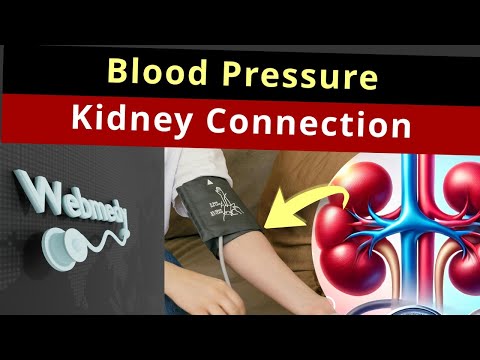 Kidney and Blood Pressure: Important Connection that you should Know