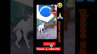 Dance with dog 🐕#brasil #dog #dance #newshorts2023 #viralshort #funnyshorts2023 #newfunnyvideo