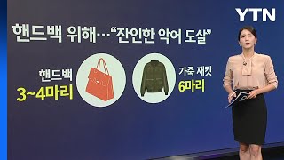 [지금e뉴스] 악어백 / 푸바오 / YTN