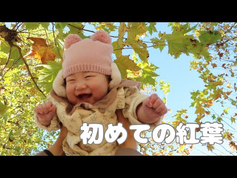 【生後6ヶ月】初めての紅葉