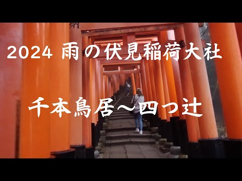 2024雨の伏見稲荷大社・千本鳥居~四つ辻 Fushimi Inari Shrine（Thousand Torii Gates）