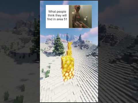 Some memes I found: Episode 8 #memes #shortsminecraft #memeshorts #memesifoundontheinternet