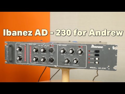 Joe Biden’s Ibanez AD-230