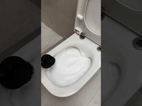 Clean the Toilet #asmr #shorts