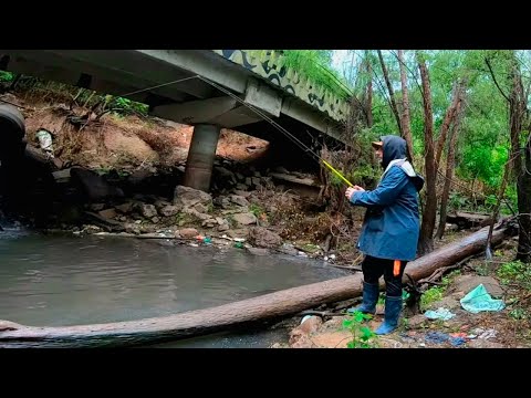 ACÁ TE ROBAN. Pesca en Rosario bajo la lluvia. pesca urbana