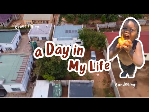 VLOG 🇿🇲: FLYING THE DRONE |  How Gardening + EXOTIC Chickens  #africa #lusaka #dayinthelife