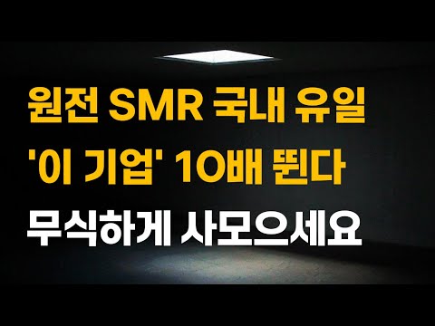 [주식] 원전 SMR 국내 유일 '이 기업' 10배 뛴다. 무식하게 사모으세요.[12월주식전망, 두산에너빌리티, 두산중공업, 원전관련주, 대한전선, 원전대장주]