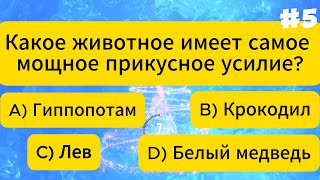 🌳 Удивительные факты о животных и природе: квиз для любителей дикой природы! 🦁