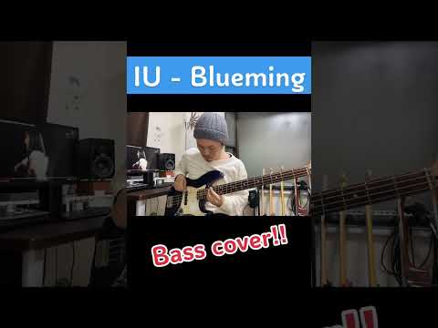 【IU-Blueming】【Bass cover‼︎】