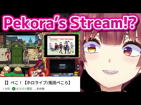 Marine wrongly starts Pekora's membership stream【Hololive】