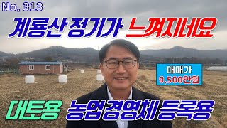 공주시 토지 계룡면 1억원 미만 대토용 농업경영체등록용 농사용 저렴한 땅 급매