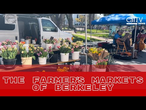 The Farmer's Markets of Berkeley