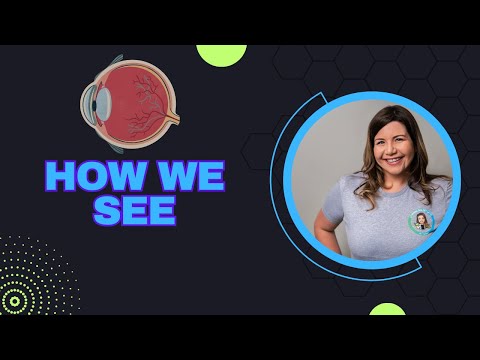 How We See | The Science of Vision