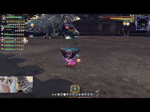 2021/09/06 - Dragon Nest - HARD 風龍 18F 代班