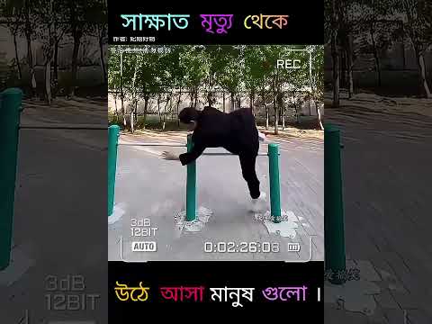 সাক্ষাত মৃত্যু থেকে উঠে আসা মানুষ গুলো 😱। Broken heart touching video 😱@mayajaalbangla