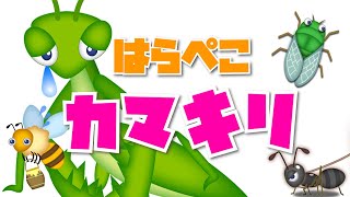 はらぺこカマキリ / おかあさんといっしょ (Coverd byうたスタ) 【カマキリが踊る！】